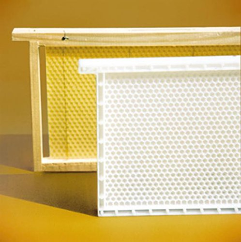 Dadant Blatt Honig-Raum Kunststoffwabe, Rähmchen und Mittelwand aus Kunstoff