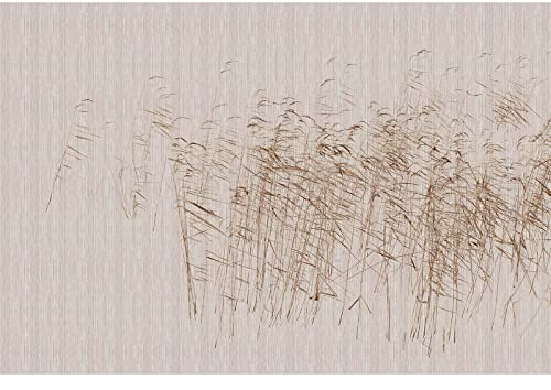 BRICOFLOR | Feld Fototapete mit Grashalmen | Florale Fototapete in Beige Braun ideal für Esszimmer und Flur | Skandinavische Tapete Weizen Motiv | 4 m x 2,7 m