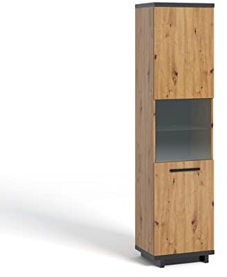 Design Möbel Schrank mit Vitrine Glasvitrine mit Schranken Vitrinenschrank Bücherschrank Aktenschrank Büroschrank Vitrine Schrank Bücherregal Standvitrine 50,5 x 200 x 40 cm