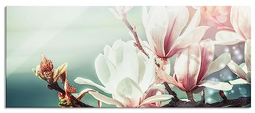 Pixxprint Glasbild Panorama, Wandbild aus Echtglas, Wunderschöne Magnolien Nahaufnahme, 100x40 cm, inkl. Aufhängung und Abstandshalter