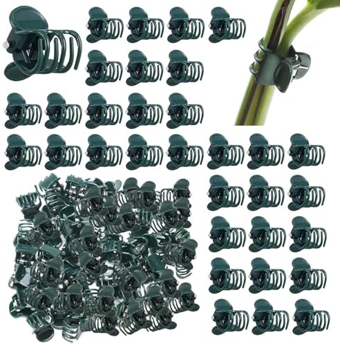 thirei Orchideen Klammern Pflanzenclips, 100 Stück Orchideen Clip, Orchideenständer Pflanzenclips, 1,5 cm Orchideen Clips Kunststoff Pflanzen Clips, für Halten Pflanze, Dunkelgrün