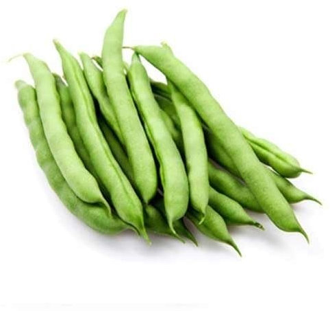 Semillas de frijoles verdes (60 unidades)