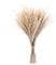 Lot de 50 herbes de pampa artificielles séchées de 40 cm - Style bohème - Décoration d'intérieur - Phragmites - Fleurs séchées - Pour vases, bouquet de fleurs blanches - Pour mariage