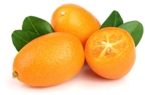 Fresh Kumquat 1kg | Sweet & Tangy Citrus Fruit | Ideal for Snacking, Marmalade, Baking & Garnish