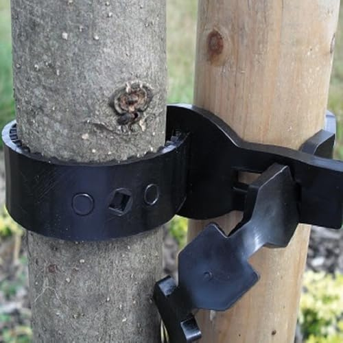 GardenersDream Super Soft Tree Ties - Soft Rubber Tree Ties Heavy Duty Providing Adjustable Support for Trees and Climbing Plants - Durable Plant Supports for Outdoor Plants (30 x 1.25cm, Pack of 25)