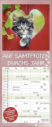 Auf Samtpfoten durch's Jahr - Familienplaner 2026 für 4 Personen - Korsch-Verlag - Kalender mit 4 Spalten zum Eintragen - 19 cm x 46 cm