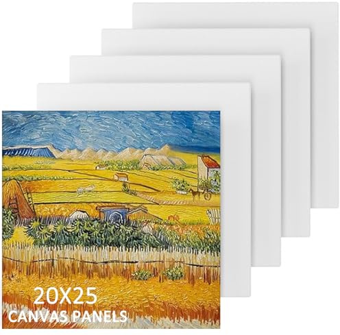 Stretched Cotton Canvas for Painting，Set of 5 Canvas Panels- 10x10cm,20x20cm, 20x25cm,Cotton Blank Painting Canvases for Art, Acrylic, Oil Watercolor Paint (20x25cm)