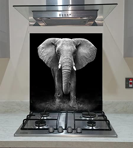 Splashback Toughened Glass Modern Unique Kitchen Black Elephant Any Size (wide 60 x height 60/cm)