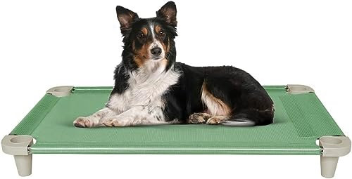 Acrimet Cama Elevada para Perros, Malla Lavable y Transpirable, Estructura de Acero Inoxidable, para Uso Interior y Exterior (Tamaño: 102 x 61 x 11cm) (Color Verde) (1 Unidad)