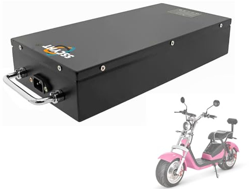 SSCYHT 60v25ah, 60V 20Ah 25Ah 28Ah 30Ah Elektroroller-Akku mit BMS-Schutzplatine und Ladegerät als Ersatz für Motorrad-Lithium-Akkus