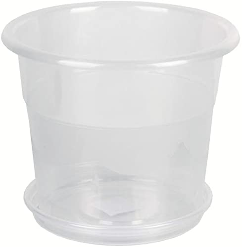 Sempreviva Maceta de plástico Transparente 28 x 28 x 22 cm con Plato, Macetero, Jardinera, Macetas