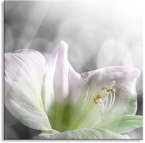 Pixxprint Glasbild, Wandbild auf Echtglas, wunderschöne Lilie, 70x70 cm, inkl. Aufhängung und Abstandshalter