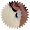 Dervivea Boho Blume Ohrringe Große Emaille Blume Ohrringe Weiße Blume Gänseblümchen Ohrringe Matte Floral Tropfen Ohrringe Schmuck Für Frauen Und Mädchen