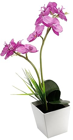 MAGICLULU Led Lampe Für Orchideen Tischlampe Mit Bonsai-licht Nachttischlampe Mit Topfblumenlicht Led Lichtdekor Für Zimmer Und Fenster