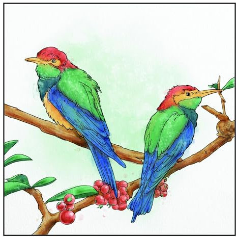 Crafter's Companion - Aqua Dual Tip Watercolour Markers - Vivid Nature by Spectrum Noir