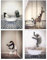 Tier Schwarz Weiß Wand Kunst Drucke, tier in der badewanne Leinwand Bilder Schwarz Weiß Badezimmer Bilder Poster Minimalistische Wohnkultur - Ohne Rahmen (40X60cm*4PCS, Traumbad)