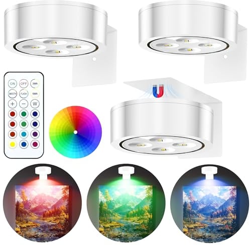 3 Pezzi Luce per Quadri Magnetiche, 13 Modalità di Colore RGB Lampada a Parete con Batterie Wireless LED, con Telecomando Luce per Quadri, per Display artistici, Cornici, Ritratti - Bianco RGB