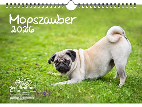 Mopszauber DIN A4 Kalender für 2026 Mops Hunde und Welpen - Set-Inhalt: 1x Kalender 1x Weihnachtsanhänger 1x Grußanhänger (gesamt 3 Teile)