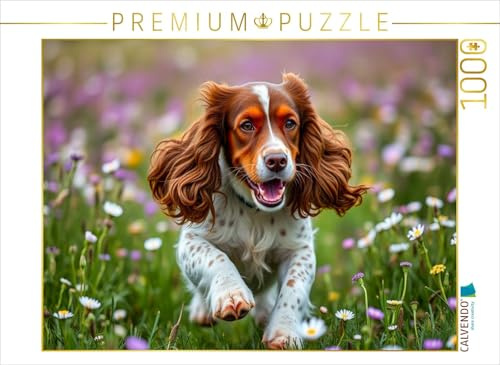 Puzzle · Junger American Cocker Spaniel | Herumtoben auf der Wiese · 1000 Teile · Lege-Größe 64 × 48 cm · CALVENDO Puzzle