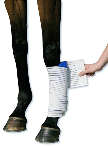 Stübben Kryo Kompakt Horse elastische Bandage