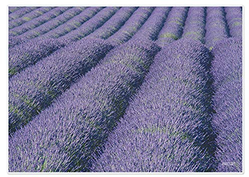 Artipics Tischsets Lavanda Platzsets Lavendel Abwaschbar Aus Kunststoff 4 Stück