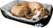 wuuhoo® I Hundebett Lucky 70cm I Flauschiges und gemütliches Hundesofa I für mittelgroße Hunde I Haustierbett Waschmaschinen geeignet schwarz