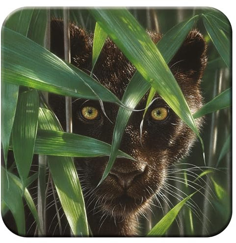3D LiveLife Cork Coaster - Wild Eyes from Deluxebase. Lenticular 3D Cork Tiger Coaster. Non-slip drinks mat with original artwork licensed from renowned artist, Collin Bogle