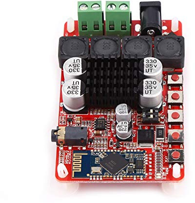 Tnfeeon Scheda Amplificatore di Potenza 50 W con Doppia Uscita 50 W, Supporto V4.0 e Design Compatto 84 X Mm per Altoparlanti e Sistemi Audio Fai-te