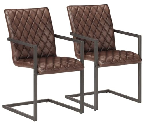 IBUQDDV Freischwinger 2 STK. Braun Echtleder Retro Design Used-Effekt Stühle mit gepolsterter Sitzfläche und Rückenlehne für Küche und Esszimmer, robuste pulverbeschichtete