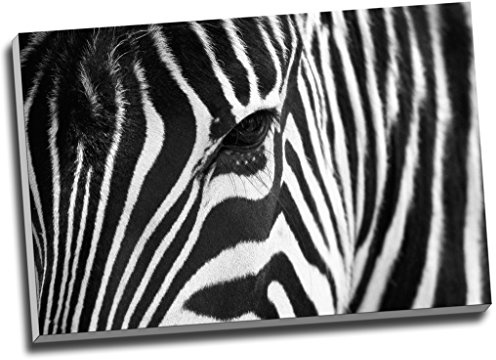 Panther Print - Leinwanddruck, A1, 76,2 x 50,8 cm, Schwarz / Weiß - Wandbild - Wohnzimmer, Schlafzimmer