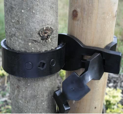 FIXINGS DIRECT Ultimate Super Soft Heavy Duty Plant Tie/Tree Tie - Multiple Sizes - (Adjustable Fitting) Weather Resistant & UV Stabilised (40cm (16”) 10 Pack)