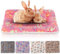 Sbayool 5 Stück Meerschweinchen Fleecedecken, Kralle oder Herzform Muster Kleintier-Plüschbett, warme Flauschige Welpendecke für Kätzchen, Kaninchen, Chinchillas, Frettchen, Hamster 51×34cm