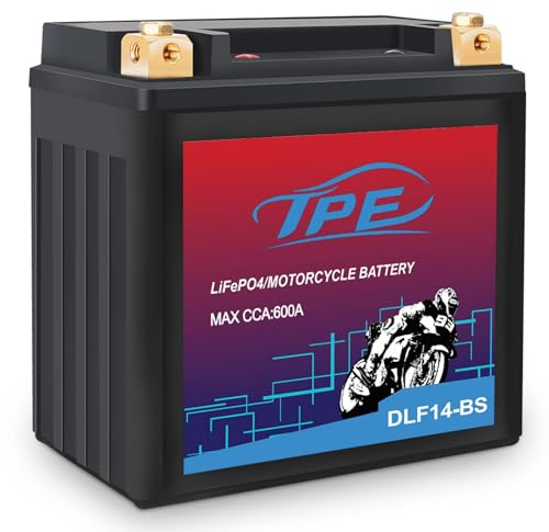 MOUDENSKAY Batterie Lithium Moto 12V Lithium Powersports avec BMS (12.8V 8AH 600 CCA) YTX14-BS LiFePO4 Batterie de démarrage moteur pour motos,ATV,UTV,Scooter,Motoneige et plus encore