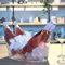 MacFly Secchiello per bottiglie - Refrigeratore per 4 bottiglie di vino, birre, champagne e bibite, grande secchio 4 bottiglie, champagne grande, secchio e refrigeratore grande, 41 x 25 x 22 cm