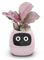 Pyatofy Maceta Inteligente Ivy, Maceta Pequeña Recargable por USB para Decoración de Interiores, Hace Que Cultivar Plantas Sea Fácil y Divertido, Color Rosa