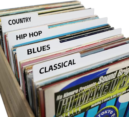 30,5 cm große, weiß, doppelseitig, Kunststoff-Trennblätter für Vinyl, CDs, Alben, Kisten und DVD-Organisation (10), DIY, Kategorie-Tab