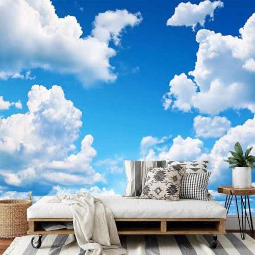 DLERFLOVR 3D Papier Peint Ciel Bleu Et Nuages Blancs - Paysage Naturel Papier Peint Panoramique Papiers Mural pour Salon Chambre Chambre D'Enfant Décoration Murale