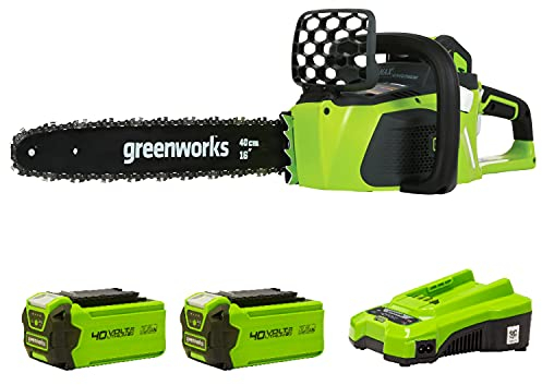 Greenworks Akku-Kettensäge GD40CS40K2x (Li-Ion 40V 11 m/s Kettengeschwindigkeit 40cm Schwertlänge 180ml Öltankvolumen leistungsstarker brushless Motor inklusive 2x 2Ah Akku und Ladegerät)