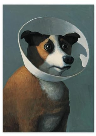 Inkognito Grußkarte mit Umschlag/Klappkarte - Motiv: Fritz - Kranker Hund, Anlass:, Künstler/Verlag Michael Sowa, Art-Nr.: 7508