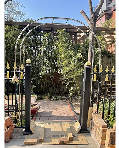DHGVCED Rosenbogen Aus Edelstahl, Gartenbogen Aus Metall, Garten Torbogen Rankgitter Rosenhilfe, Wetterbeständig Rankhilfe Spalier(Size:120 * 230cm(47 * 90in))