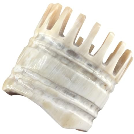 PAMINGONO Natürlicher Massagekamm aus Yak Horn für Angenehme Kopfmassage und Stimulation der Durchblutung Beiger Haarwaschkamm mit Komfortabler Handhabung für Tägliche Anwendung