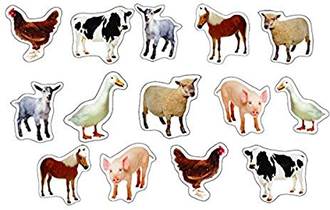 Farm Animals: Photographic