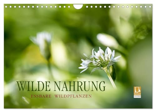 WILDE NAHRUNG (Wandkalender 2025 DIN A4 quer), CALVENDO Monatskalender: Essbare Wildpflanzen: faszinierend, gesundheitsfördernd und artenreich. (CALVENDO Lifestyle)