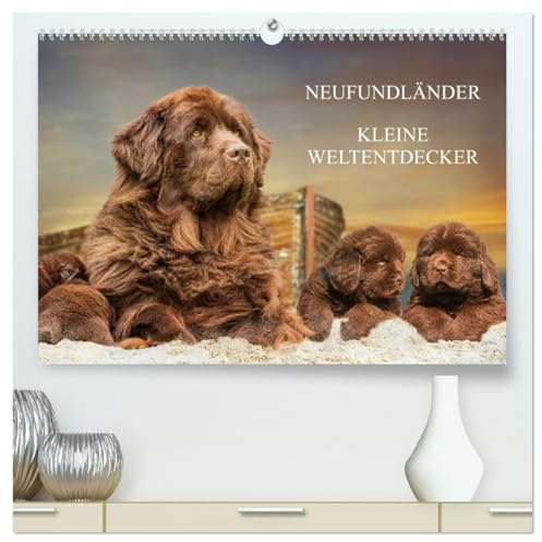 Neufundländer - Kleine Weltentdecker (hochwertiger Premium Wandkalender 2026 DIN A2 quer), Kunstdruck in Hochglanz: Lassen Sie sich von entzückenden 3 ... verzaubern (CALVENDO Tiere)