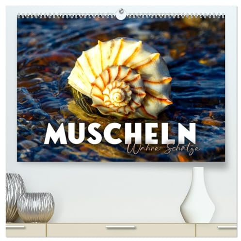 Muscheln - Wahre Schätze (hochwertiger Premium Wandkalender 2026 DIN A2 quer), Kunstdruck in Hochglanz: Harte Schale aber ein weicher Kern. (CALVENDO Orte)