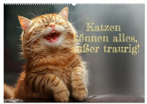 Katzen können alles, außer traurig. (Wandkalender 2026 DIN A2 quer), CALVENDO Monatskalender: Katzen sind unsere Freunde - in allen Lebenslagen. (CALVENDO Spass)