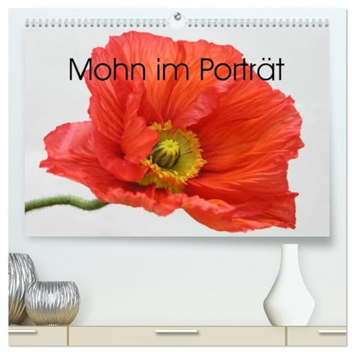 Mohn im Porträt (hochwertiger Premium Wandkalender 2026 DIN A2 quer), Kunstdruck in Hochglanz: 1 Jahr lang Mohnblüten-Genuss (CALVENDO Natur)