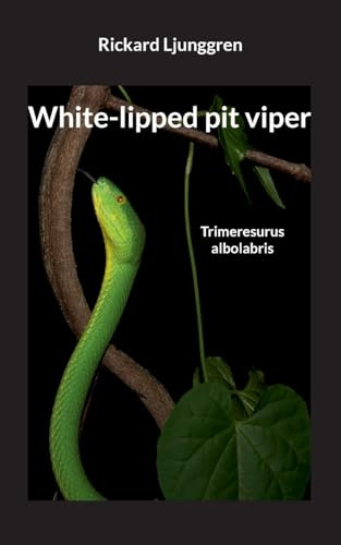 White-lipped pit viper: Trimeresurus albolabris