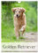 Golden Retriever (Wandkalender 2025 DIN A4 hoch), CALVENDO Monatskalender (CALVENDO Tiere)