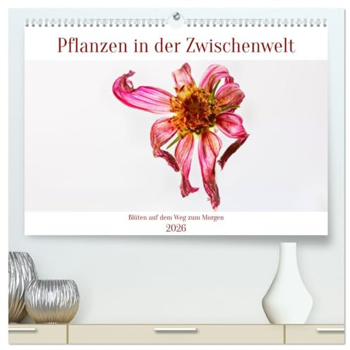 Pflanzen in der Zwischenwelt (hochwertiger Premium Wandkalender 2026 DIN A2 quer), Kunstdruck in Hochglanz: Blüten auf dem Weg zum Morgen (CALVENDO Natur)
